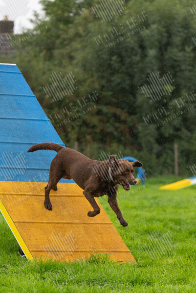 Agility 19th September — photo ASP02298-2