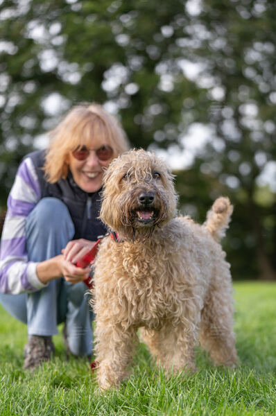 Agility 19th September — photo ASP02453