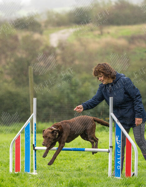 Agility 19th September — photo ASP02300-2