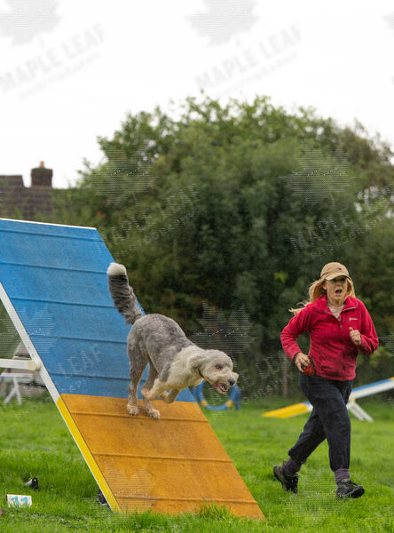 Agility 19th September — photo ASP02255