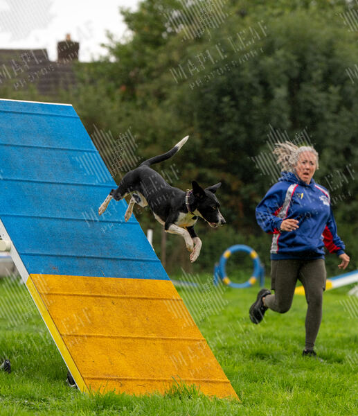 Agility 19th September — photo ASP02262-2