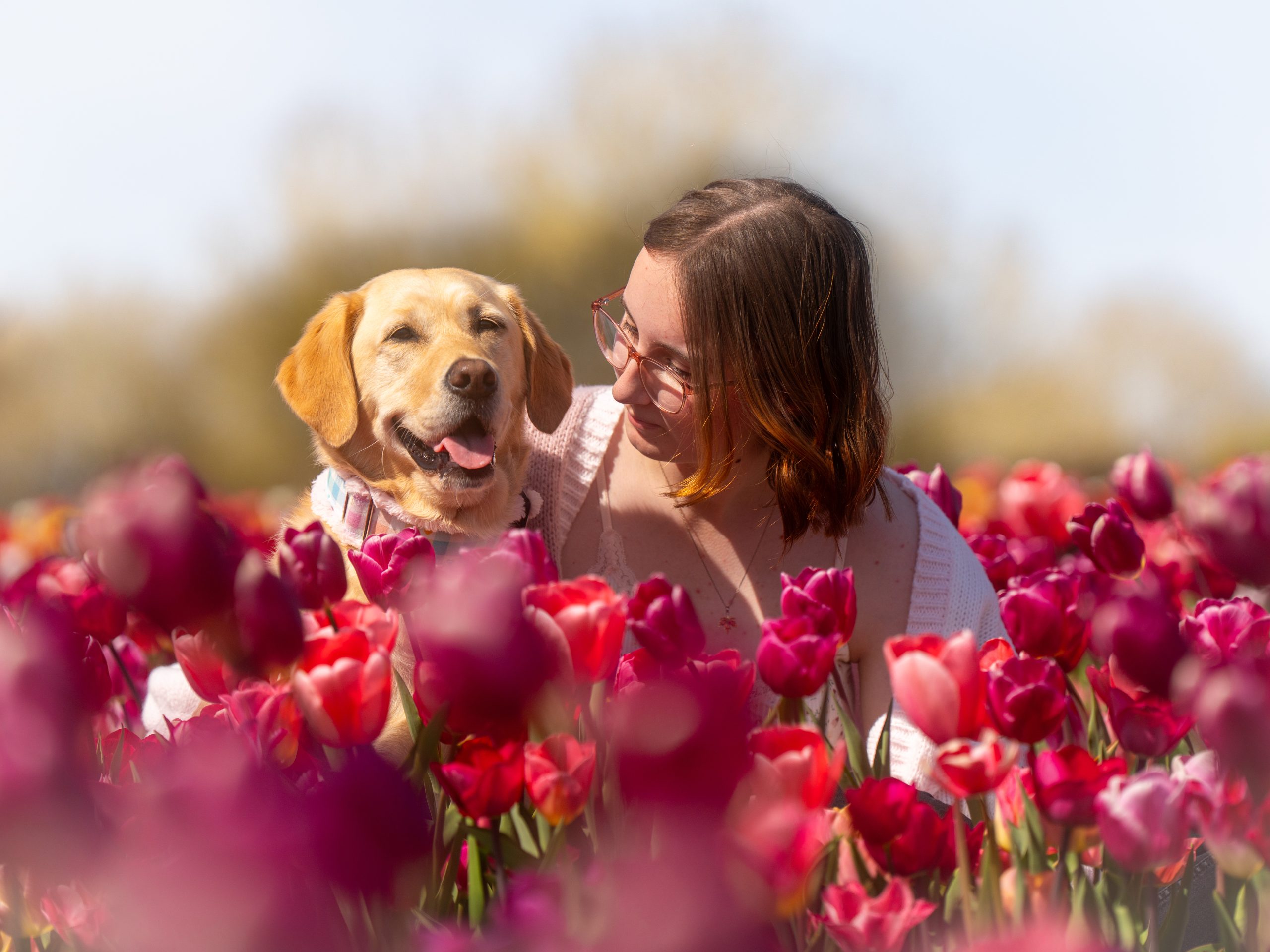 Dog Photographer Nottinghamshire – Maple Leaf Photography session
